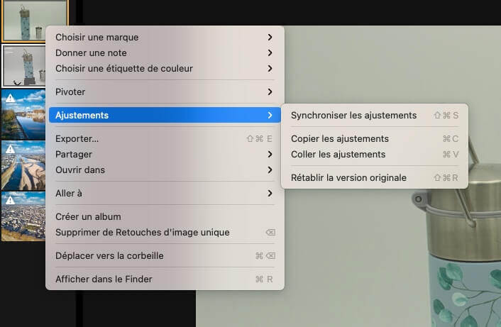Copier-coller un ajustement de couleur dans Luminar